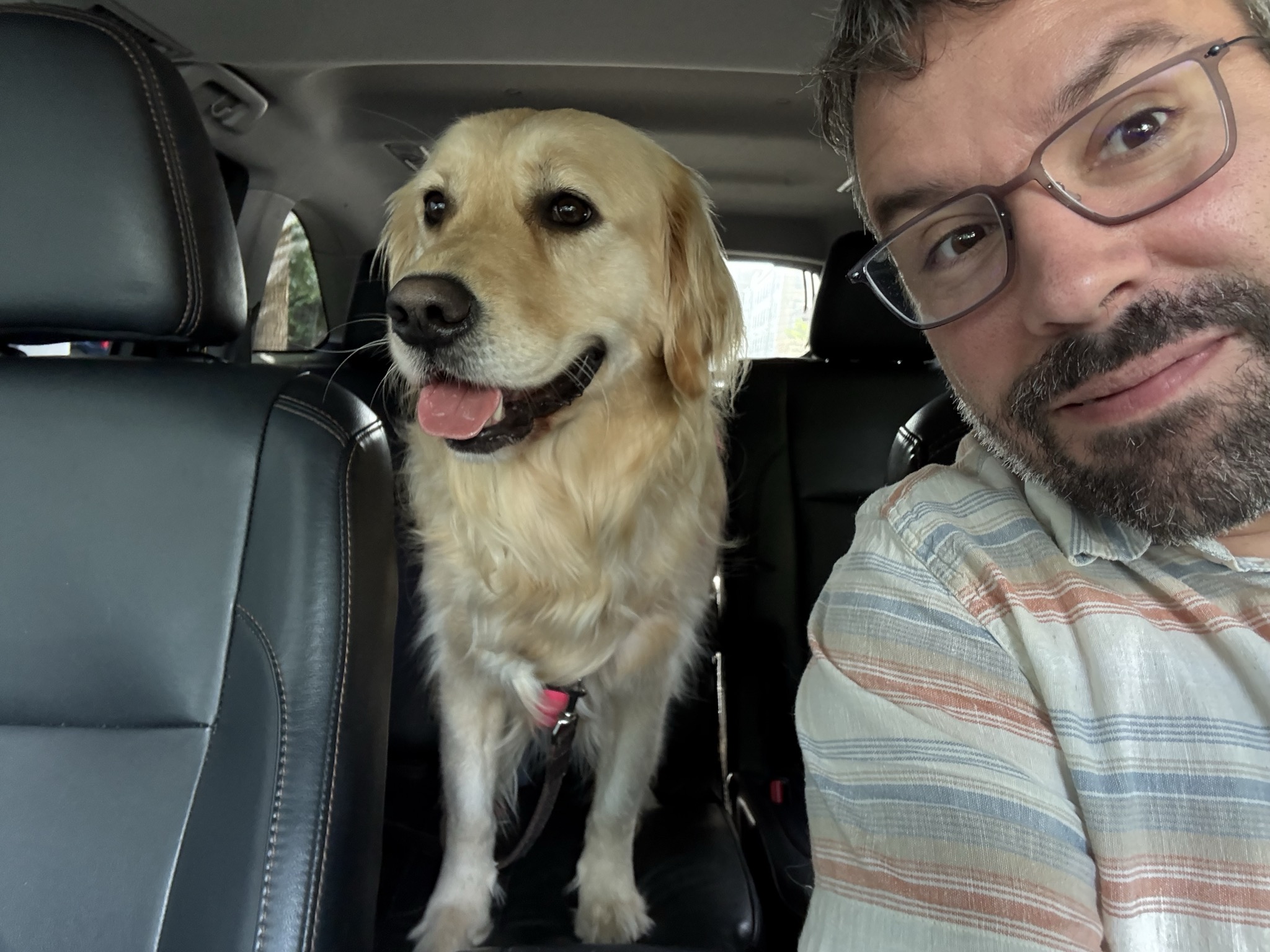 A human male in the car with a happy golden retriever. (Don't worry I'm not driving)